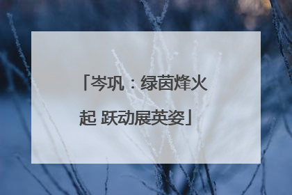 岑巩：绿茵烽火起 跃动展英姿